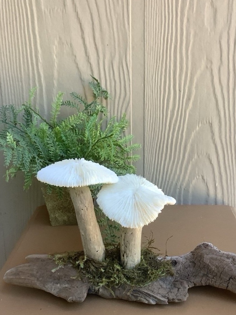 Driftwood Art, Driftwood and Coral Mushrooms, Mushroom Art, Coastal Art - Picture 2 of 8